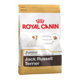 Royal Canin Jack Russell Terrier Junior- Корм для щенков породы джек-рассел-терьер